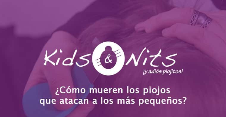como mueren los piojos que atacan a los mas pequeños